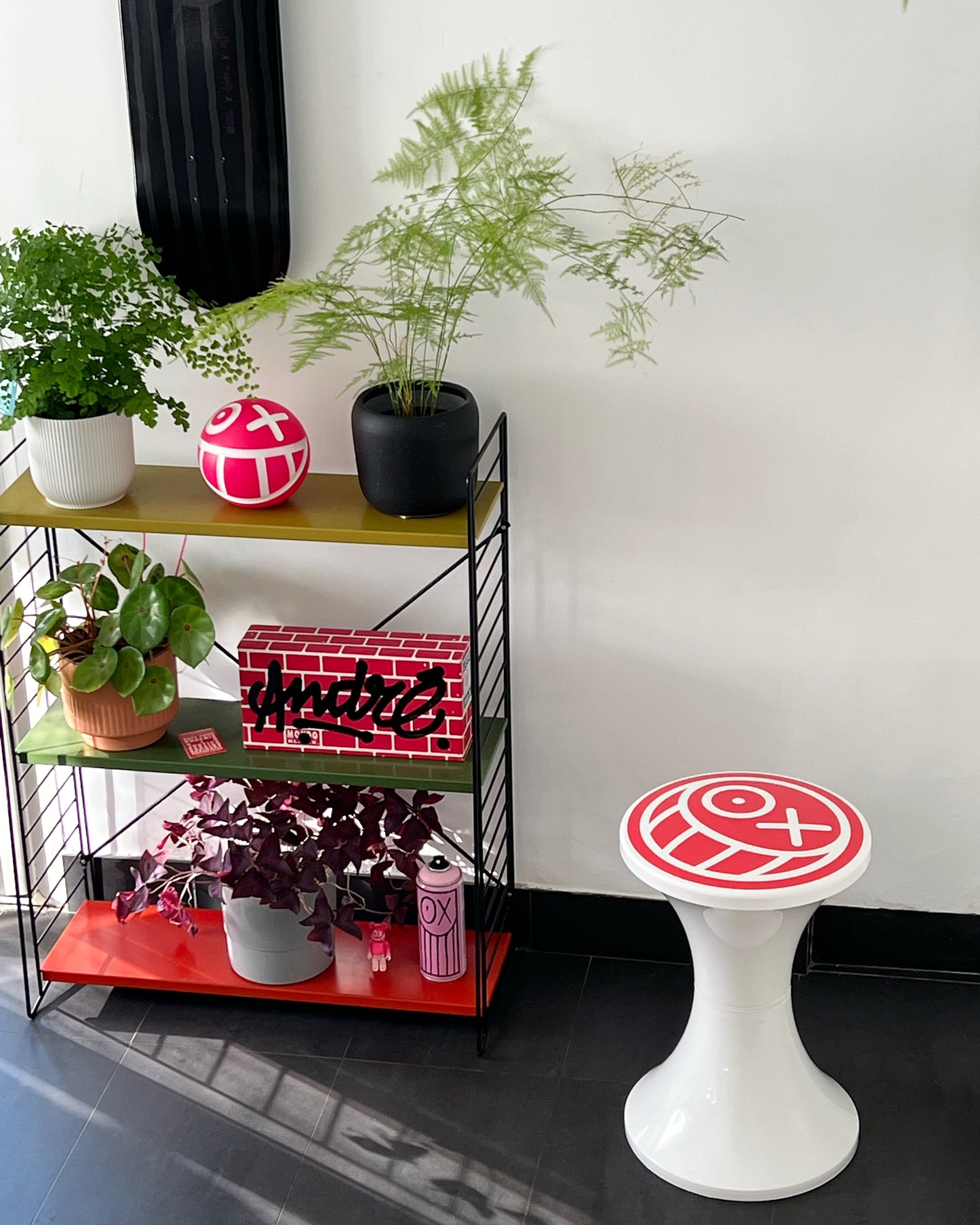 タムタム - アンドレ・サライバ - ココナッツ