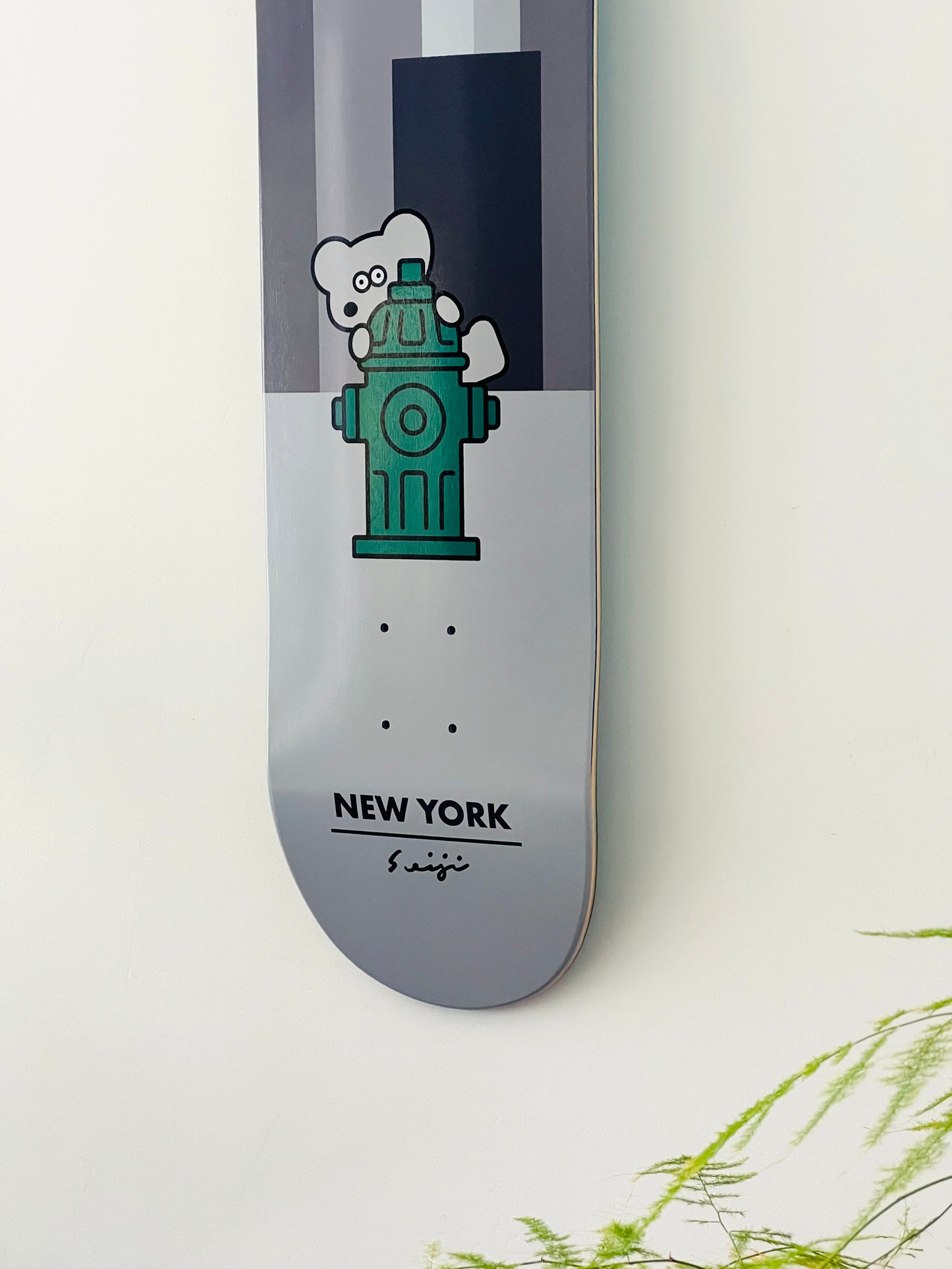 Seiji Matsumoto - New York - 1 skateboard