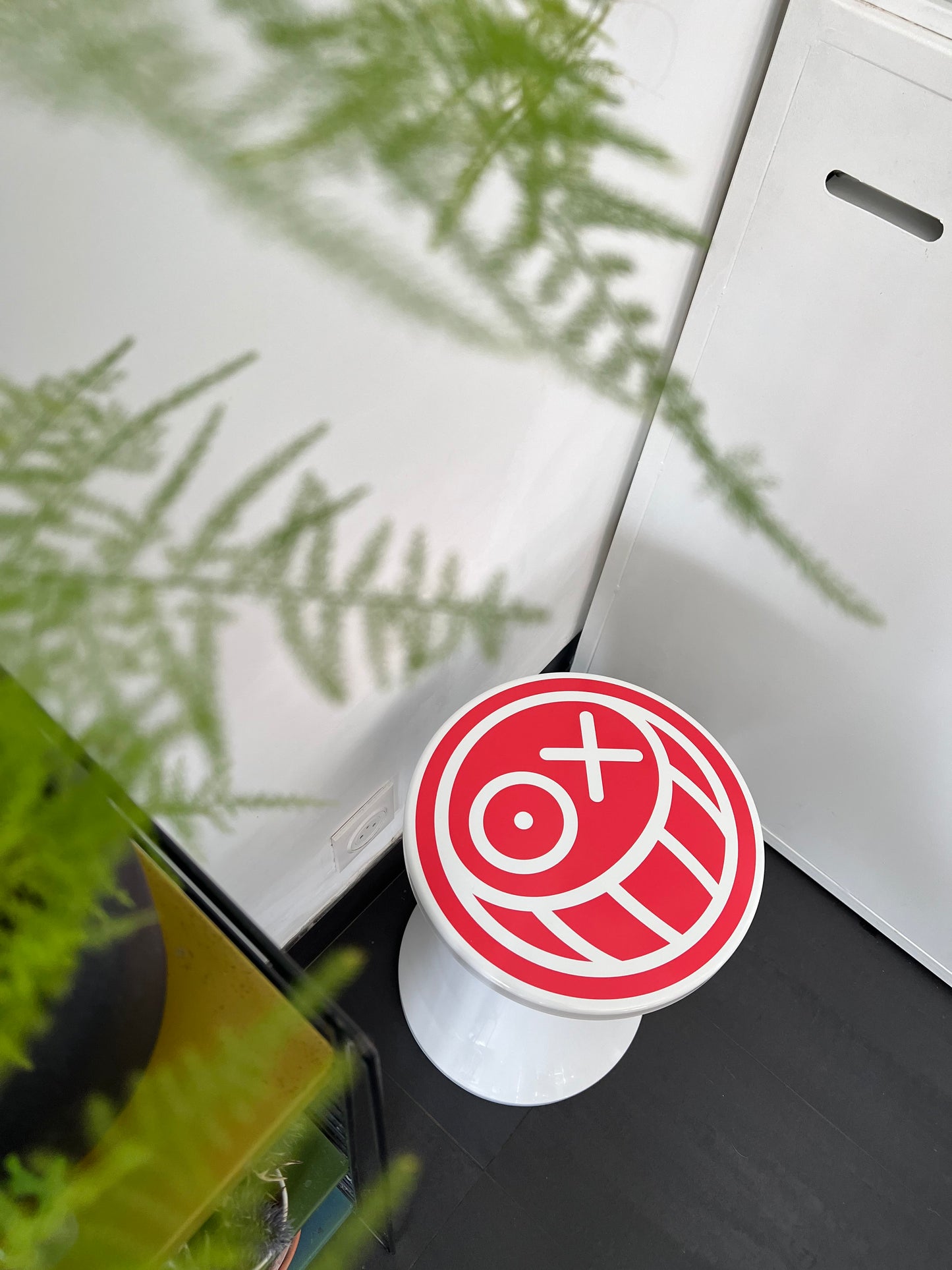 Tamtam - André Saraiva - Noix de coco