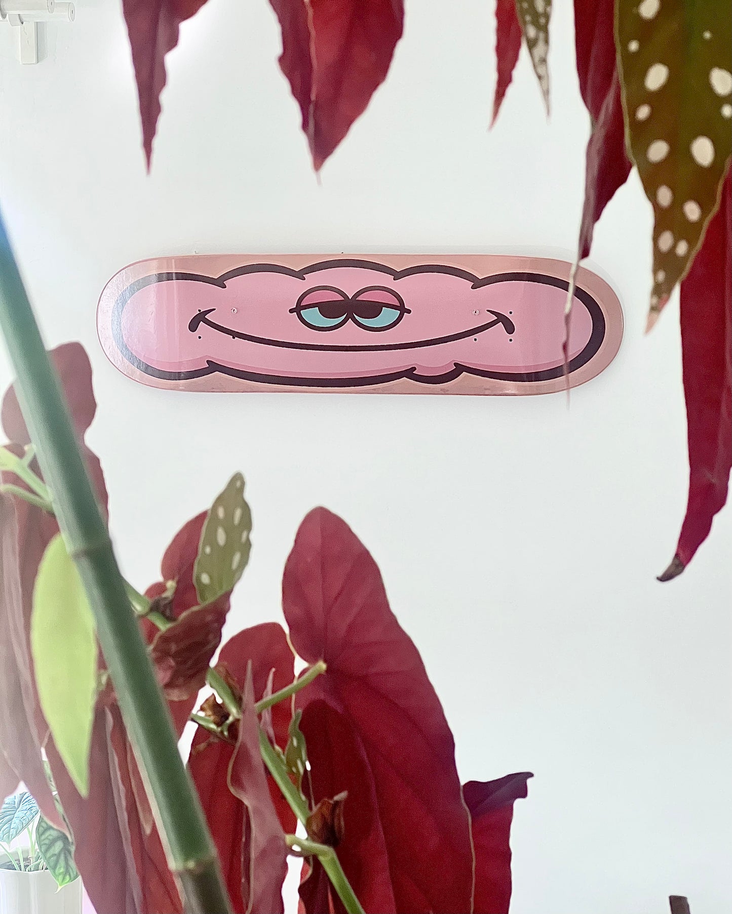 247POKO - 1 skateboard