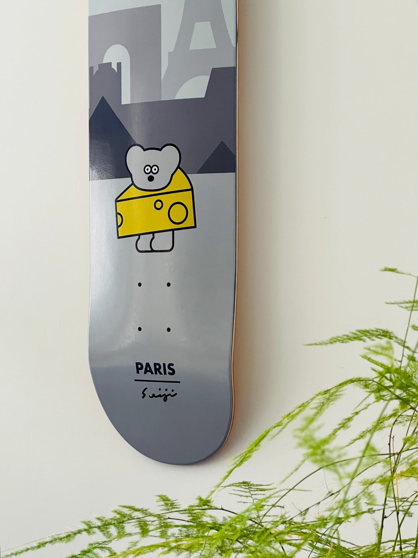 Seiji Matsumoto - Paris - 1 skateboard